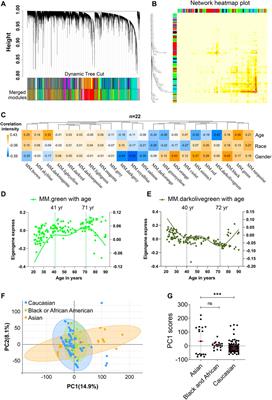 Gene Expression Analysis Reveals Age and Ethnicity Signatures Between Young and Old Adults in Human PBMC